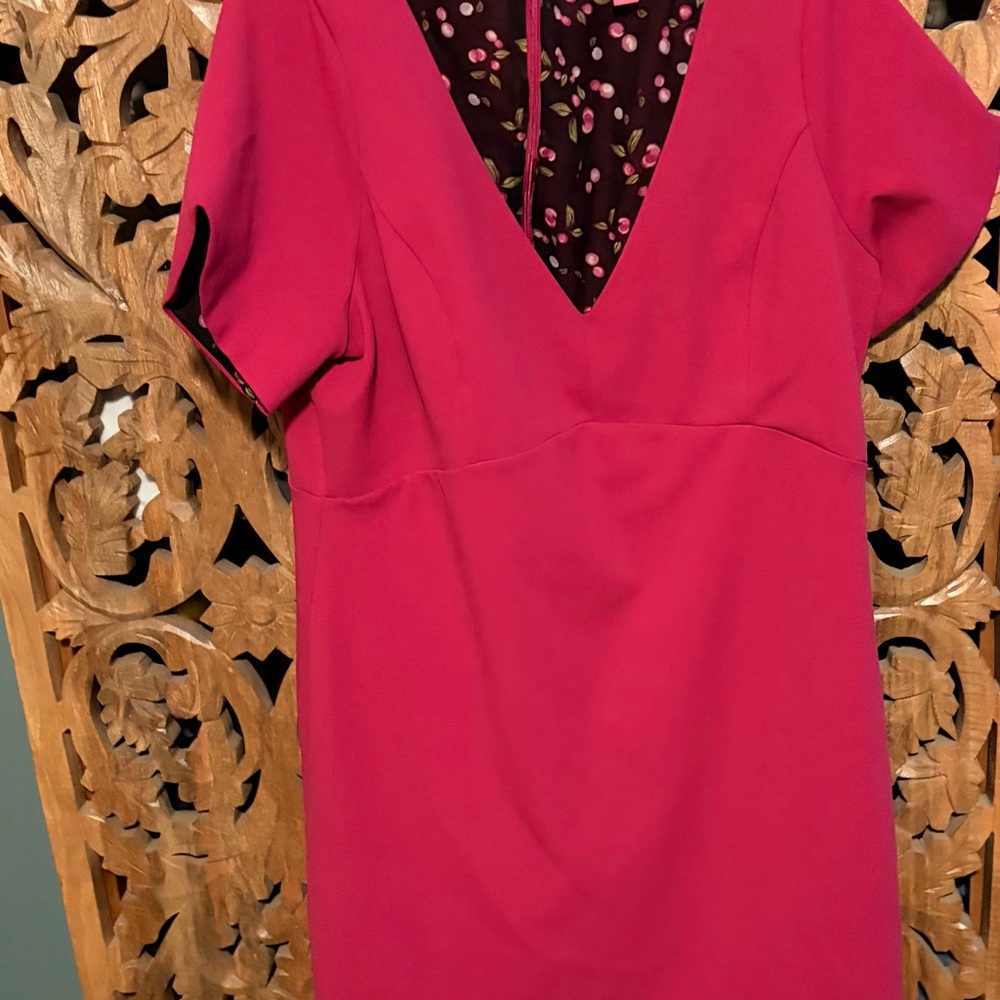 Betsey Johnson Fuchsia Dress with Floral Lining